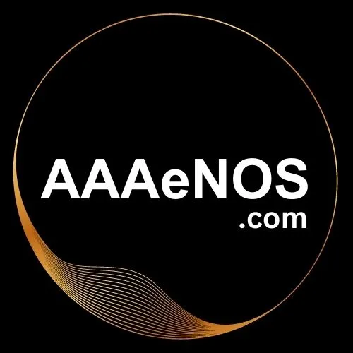 aaaenos website development cost