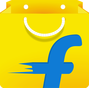 flipkart website development cost